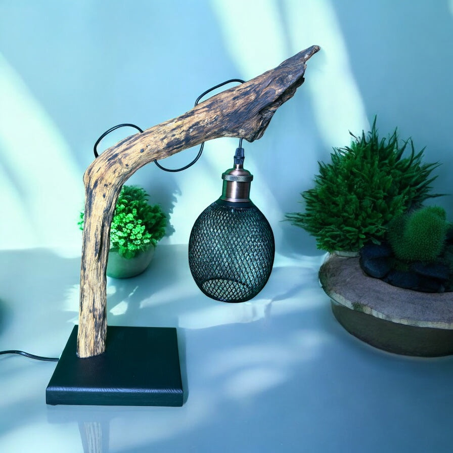Lantern Limb – Rustic Branch Lamp