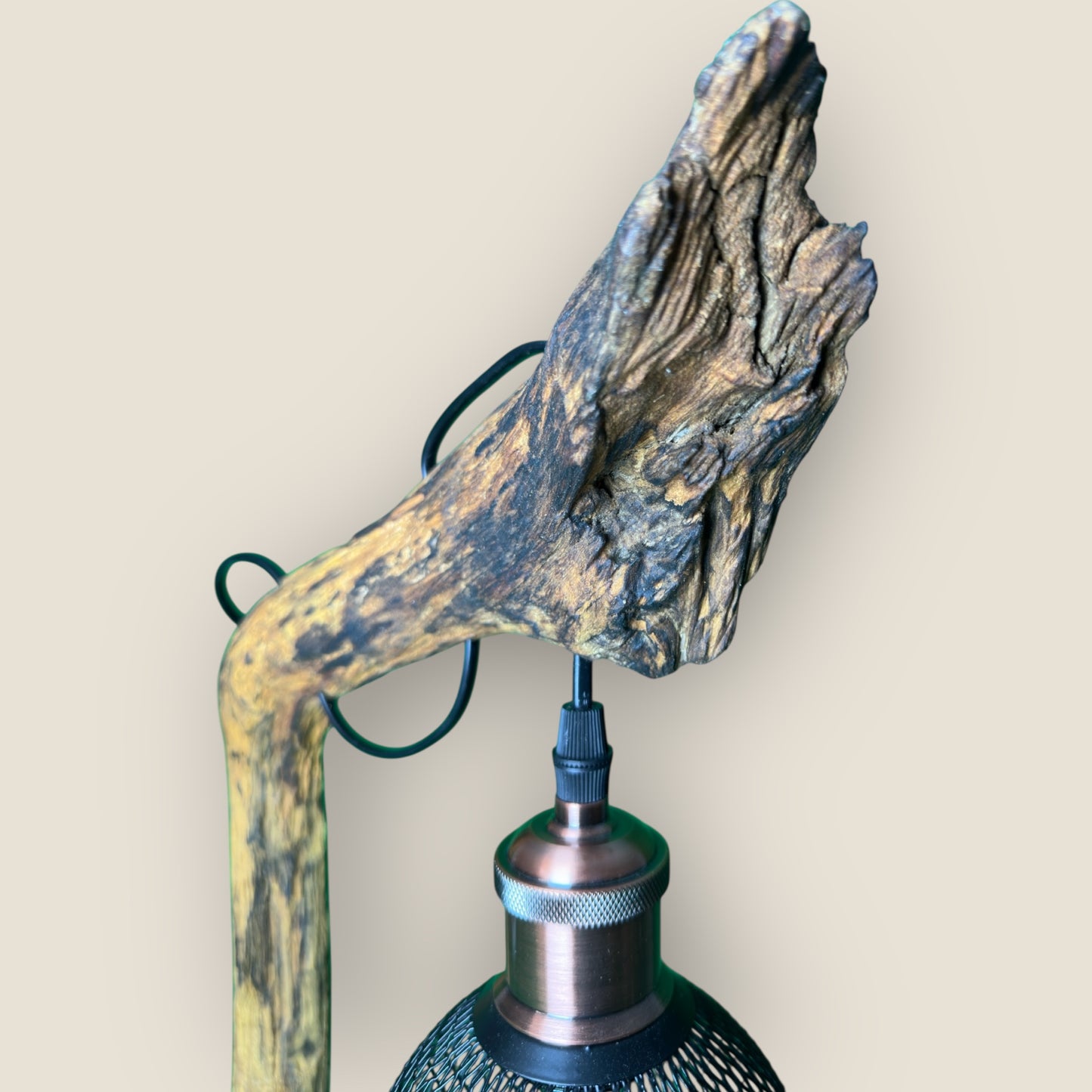 Lantern Limb – Rustic Branch Lamp