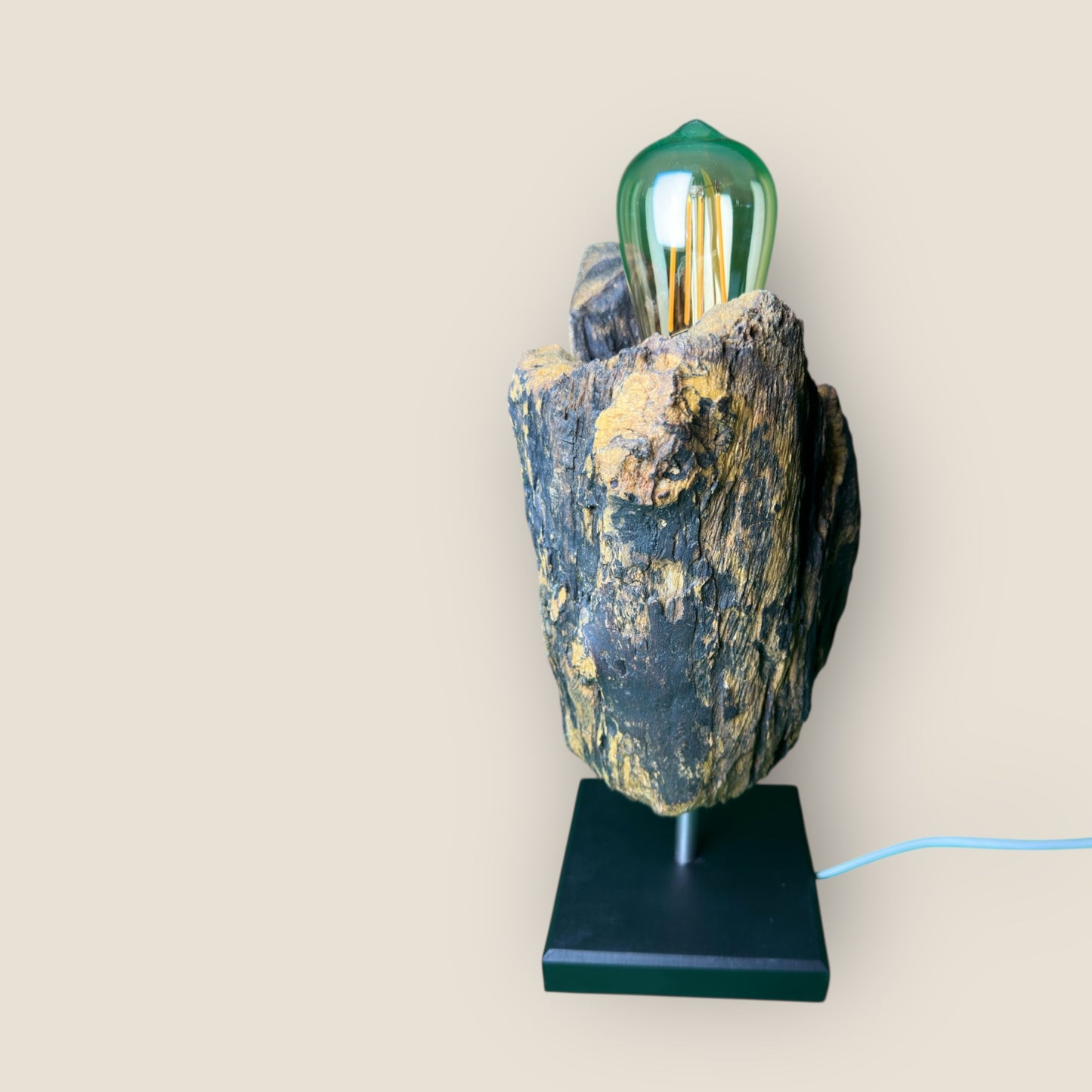 Forest Bloom – Driftwood Tulip Lamp