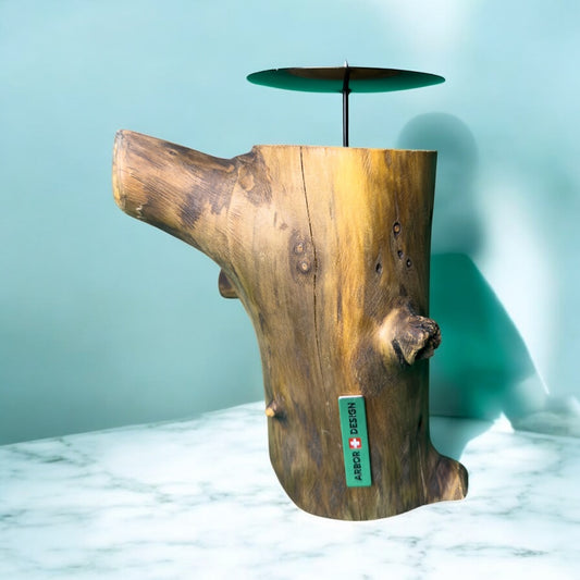 Mountain Hearth – One Flame, One Log, One Legacy