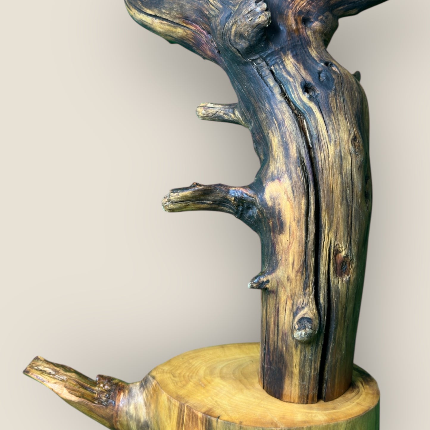 Branchlight Haven – Forest Limb Lamp