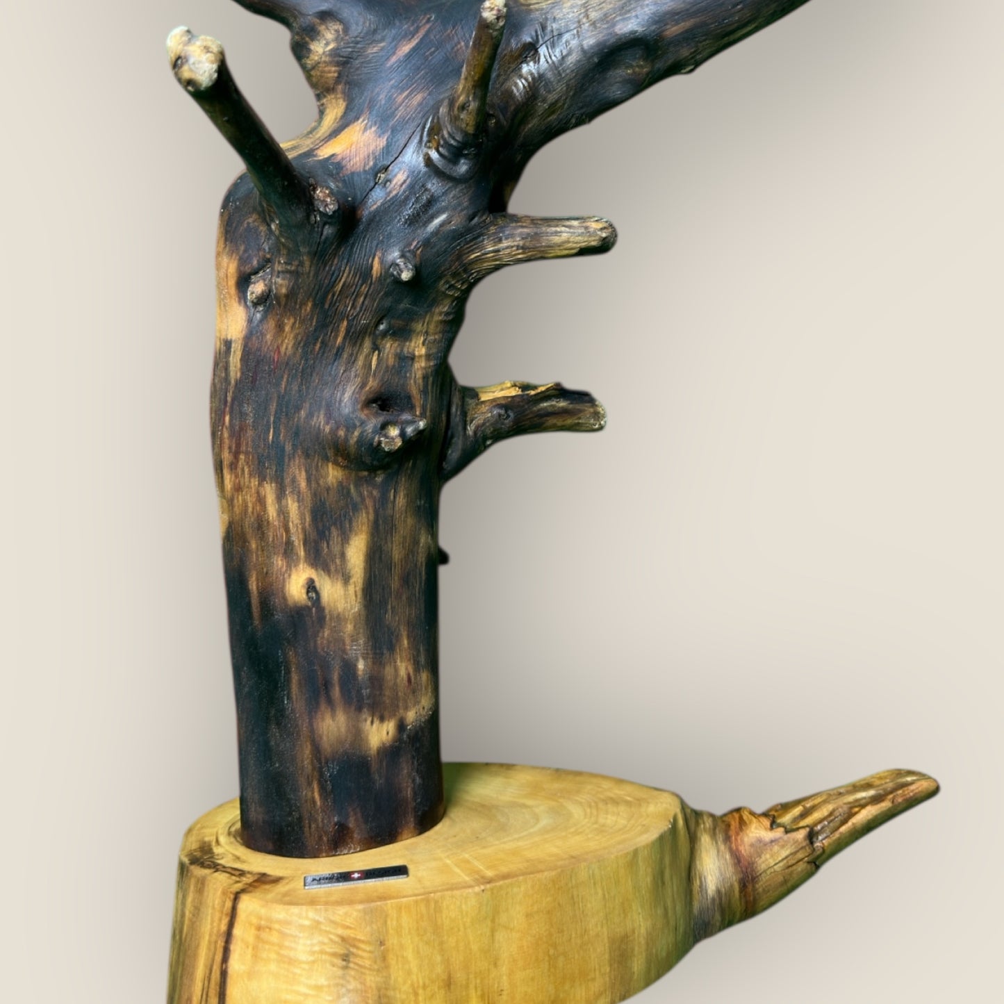 Branchlight Haven – Forest Limb Lamp