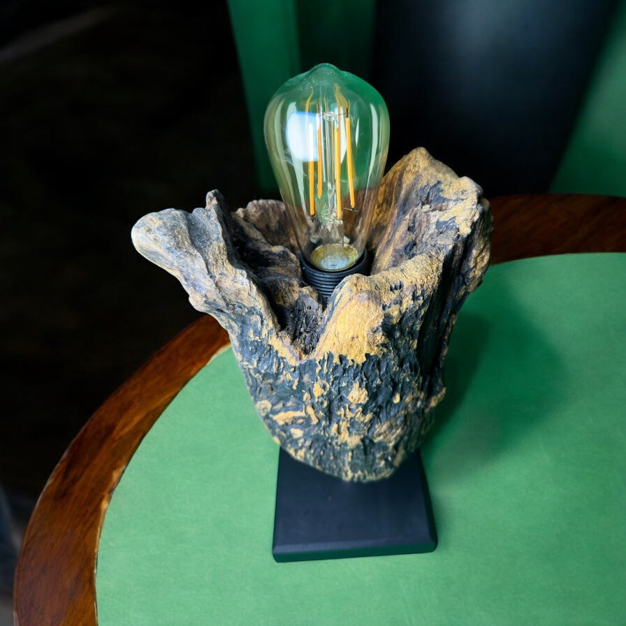 Forest Bloom – Driftwood Tulip Lamp