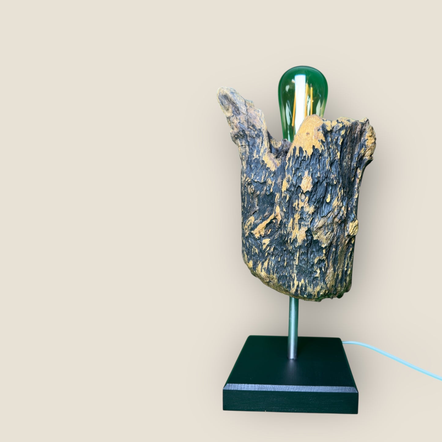 Forest Bloom – Driftwood Tulip Lamp
