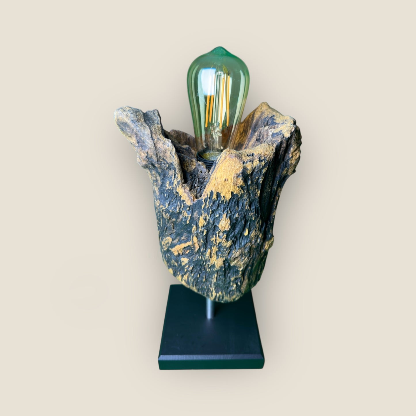 Forest Bloom – Driftwood Tulip Lamp